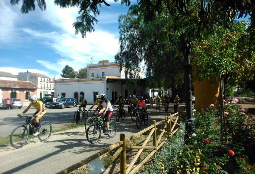 بنسيون Hostal Nicol's