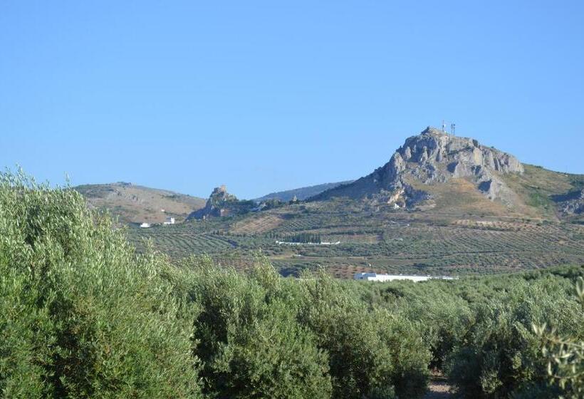 بنسيون Hostal Nicol's