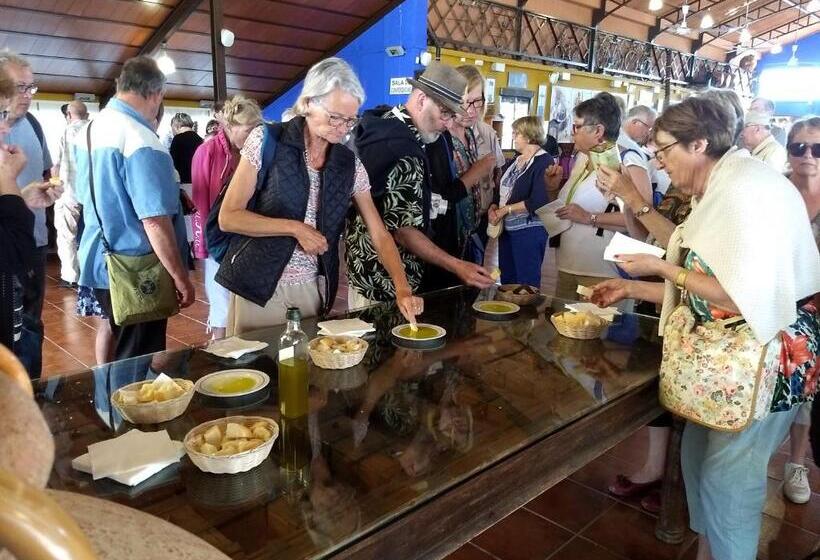 بنسيون Hostal Nicol's