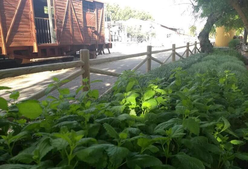 بنسيون Hostal Nicol's