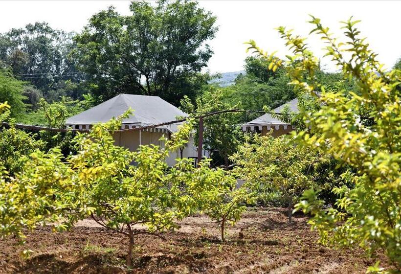 리조트 Paridhi Niwas, Ranthambore  Near Tiger Safari Zones 1 5