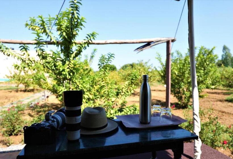 리조트 Paridhi Niwas, Ranthambore  Near Tiger Safari Zones 1 5