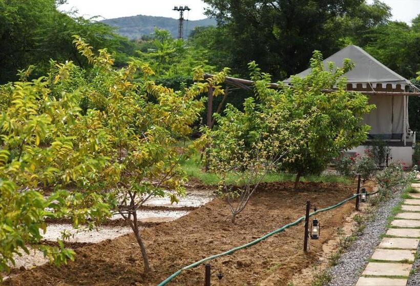 리조트 Paridhi Niwas, Ranthambore  Near Tiger Safari Zones 1 5