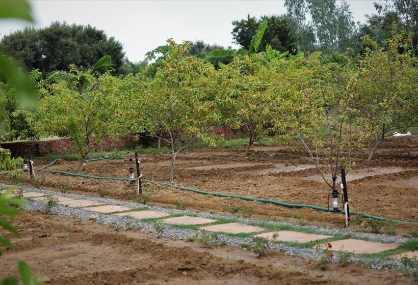 리조트 Paridhi Niwas, Ranthambore  Near Tiger Safari Zones 1 5