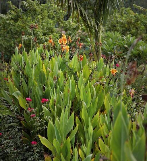 리조트 Paridhi Niwas, Ranthambore  Near Tiger Safari Zones 1 5