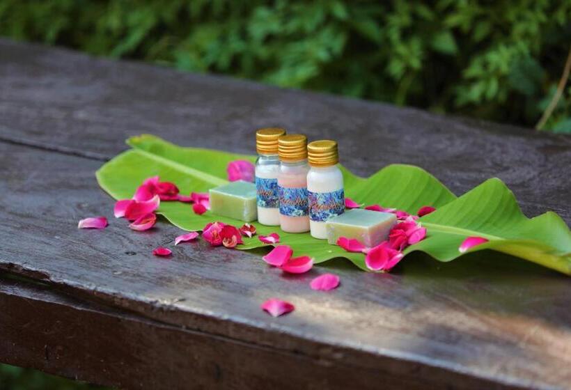 리조트 Paridhi Niwas, Ranthambore  Near Tiger Safari Zones 1 5