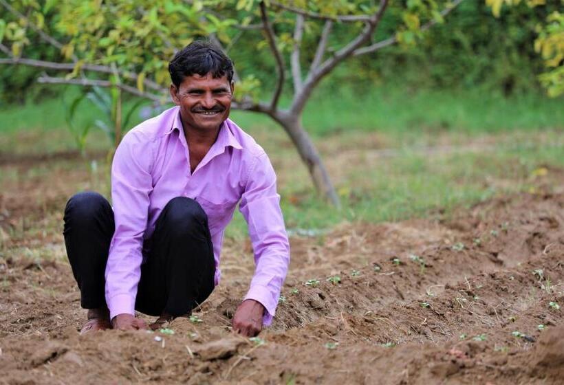 리조트 Paridhi Niwas, Ranthambore  Near Tiger Safari Zones 1 5