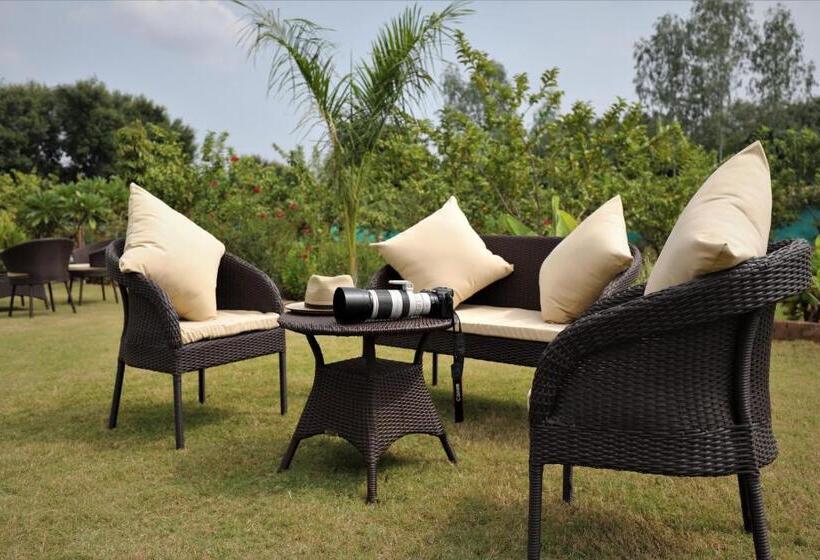 리조트 Paridhi Niwas, Ranthambore  Near Tiger Safari Zones 1 5