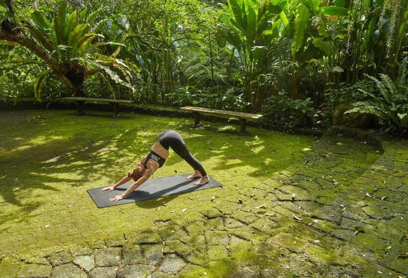 אתר נופש The Farm At San Benito