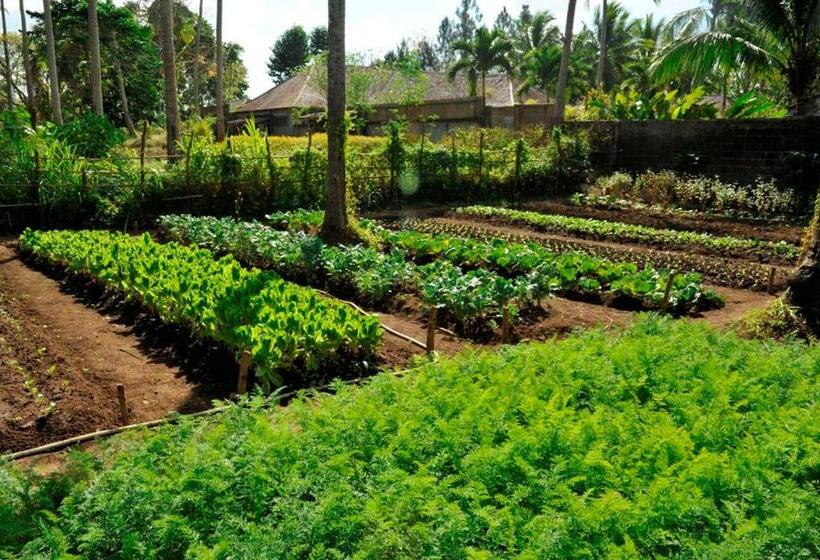 אתר נופש The Farm At San Benito