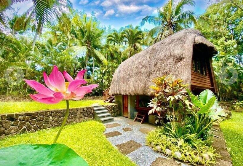 אתר נופש The Farm At San Benito