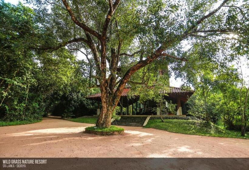 Wild Grass Nature Resort