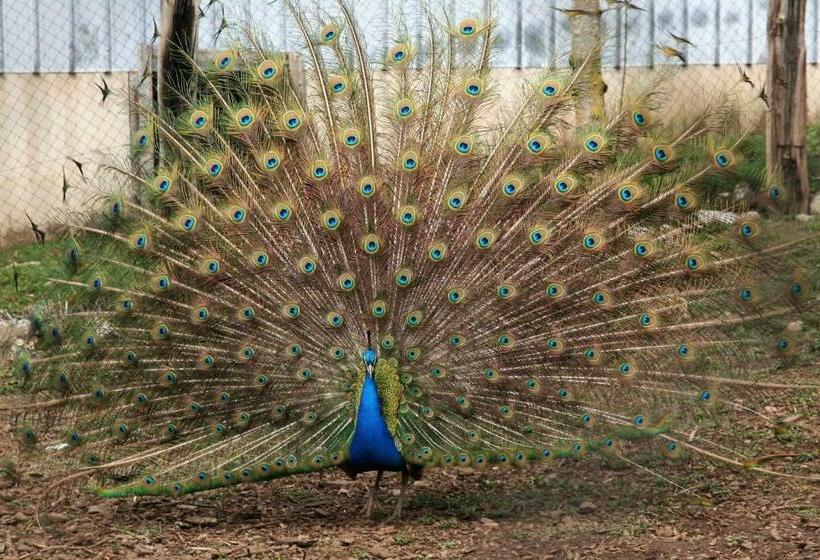 مبيت وإفطار Chambre D’hôtes De Curières