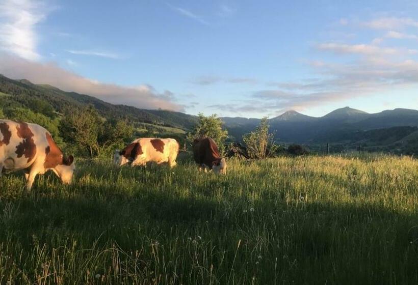 مبيت وإفطار Chambre D’hôtes De Curières