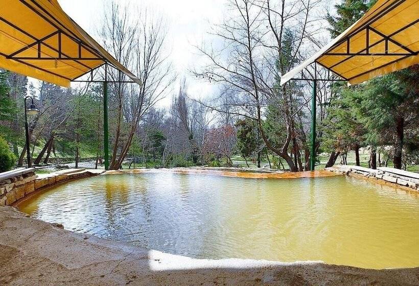 Bed and Breakfast Queen Thermal Resort Hotel & Spa