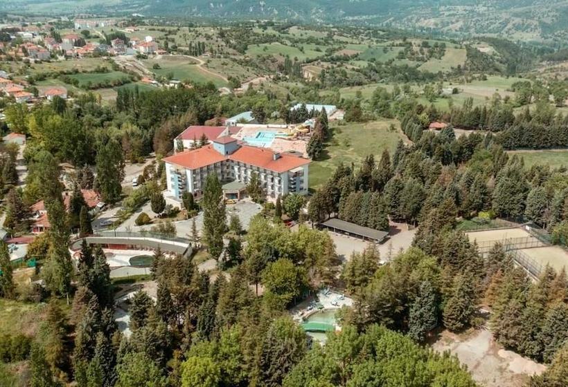 ベッドアンドブレックファースト Queen Thermal Resort Hotel & Spa