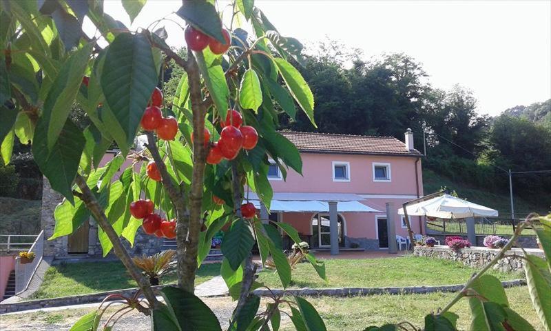 B&b La Casina Rosa La Spezia