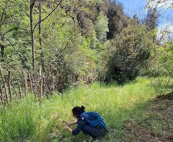 B&b La Casina Rosa La Spezia