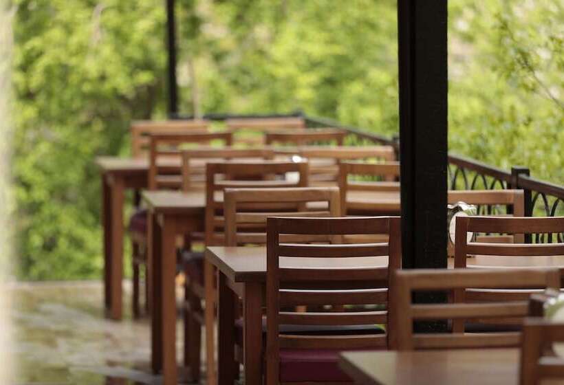 فندق Ahsen Pansiyon