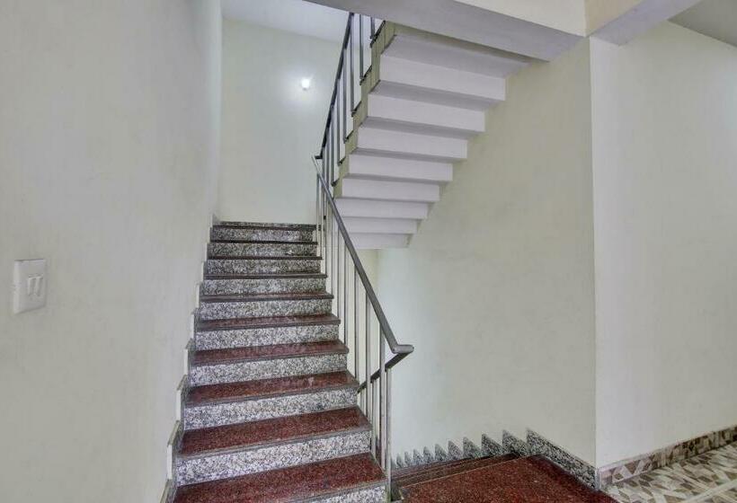 Отель Oyo Flagship 7230  City Inn