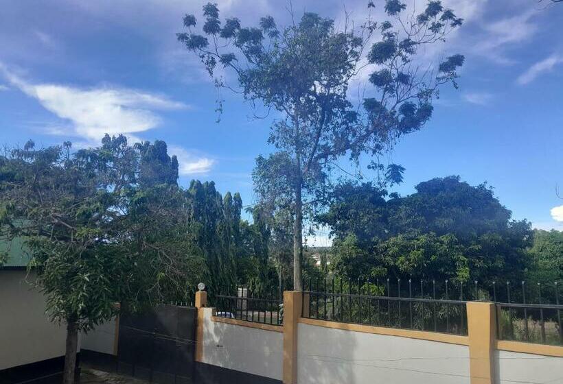 New Cleopatra Backpackers Hostel