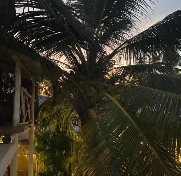 ペンション Ocean Wonder Dive & Stay