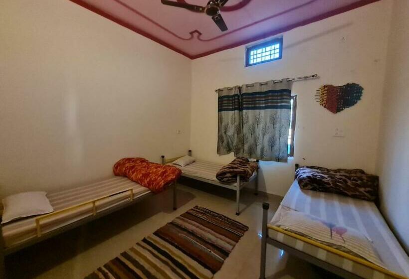 Albergue Sun N Soil Backpacker