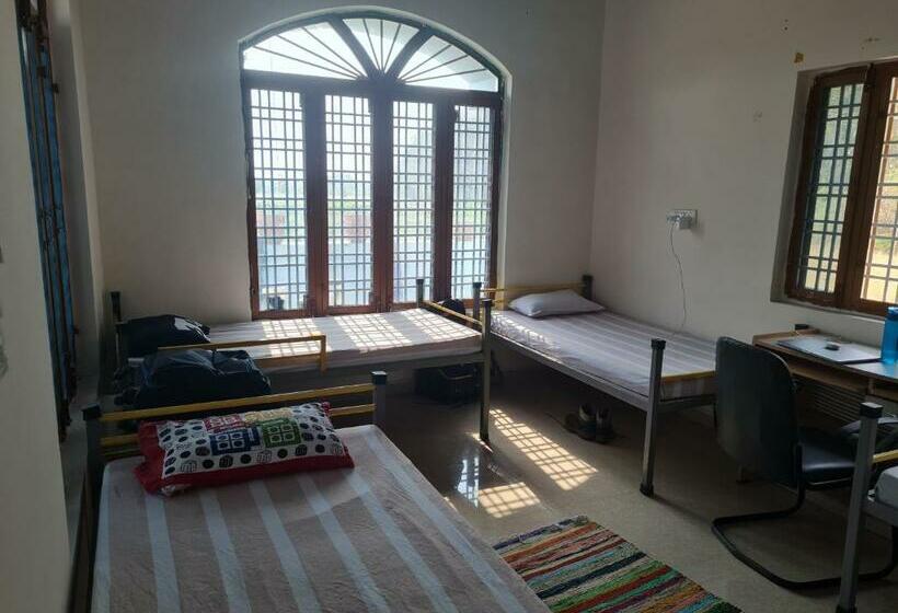 Albergue Sun N Soil Backpacker