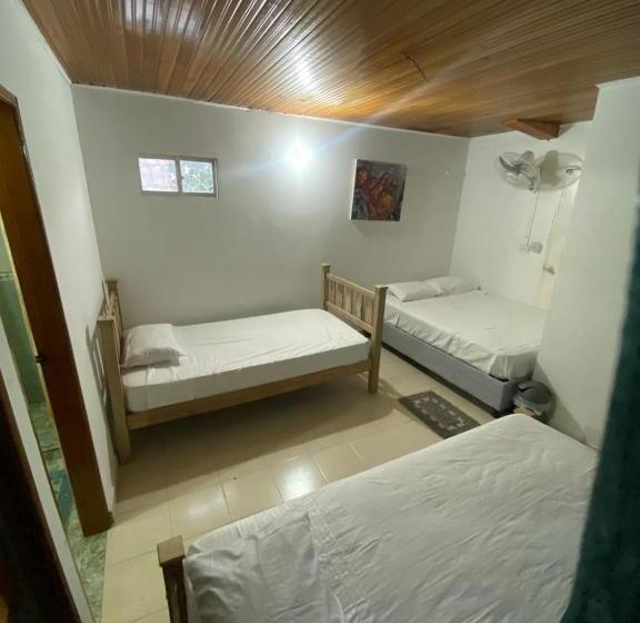 تختخواب و صبحانه Aurelia Compartida Hospedaje