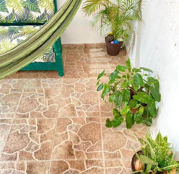 ベッドアンドブレックファースト Aurelia Compartida Hospedaje