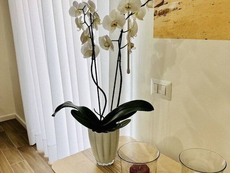 민박 Stabia Planet