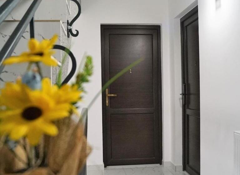 Central View Craiova 3