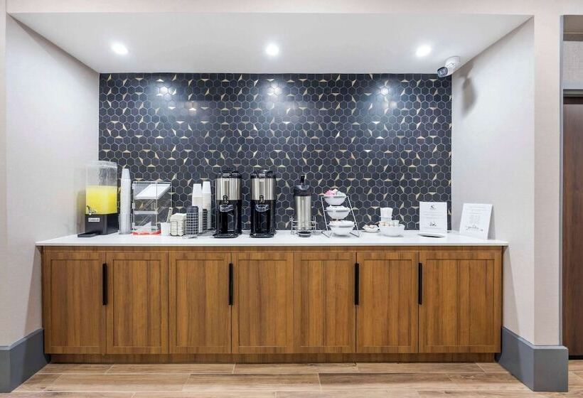 酒店 Comfort Inn & Suites Gallatin  Nashville Metro