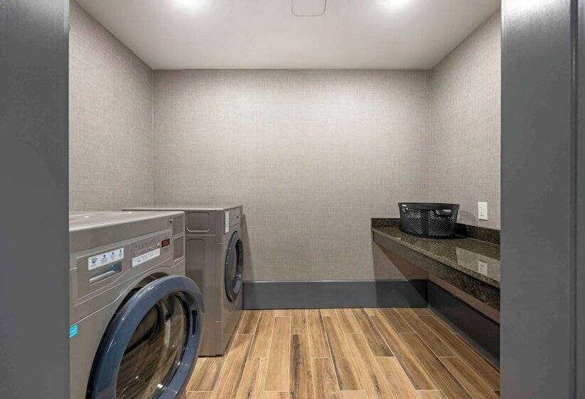 酒店 Comfort Inn & Suites Gallatin  Nashville Metro