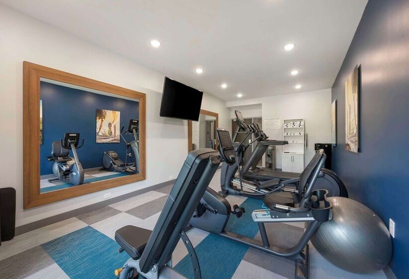 酒店 Comfort Inn & Suites Gallatin  Nashville Metro