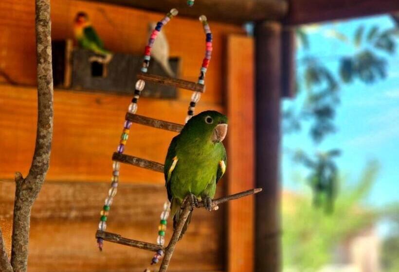 酒店 Fazenda Villa Vitta