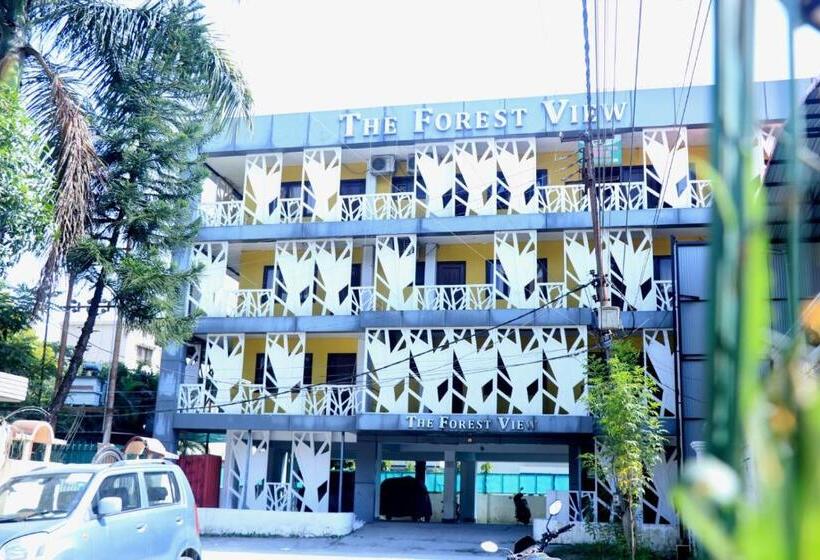 Отель Forest View