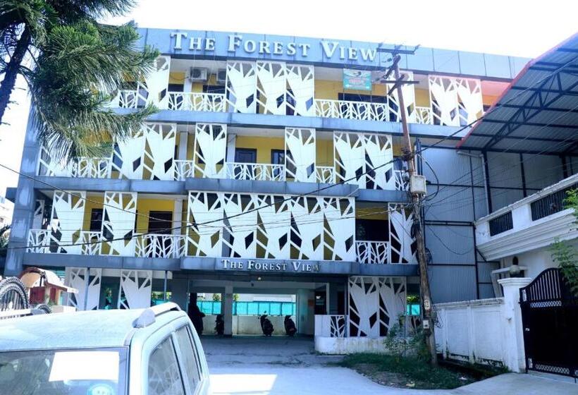 Отель Forest View