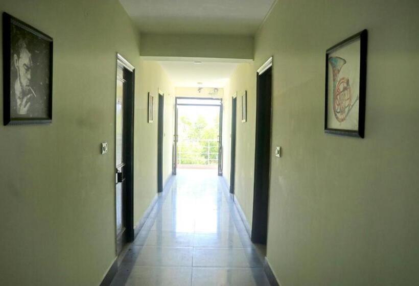 Отель Forest View