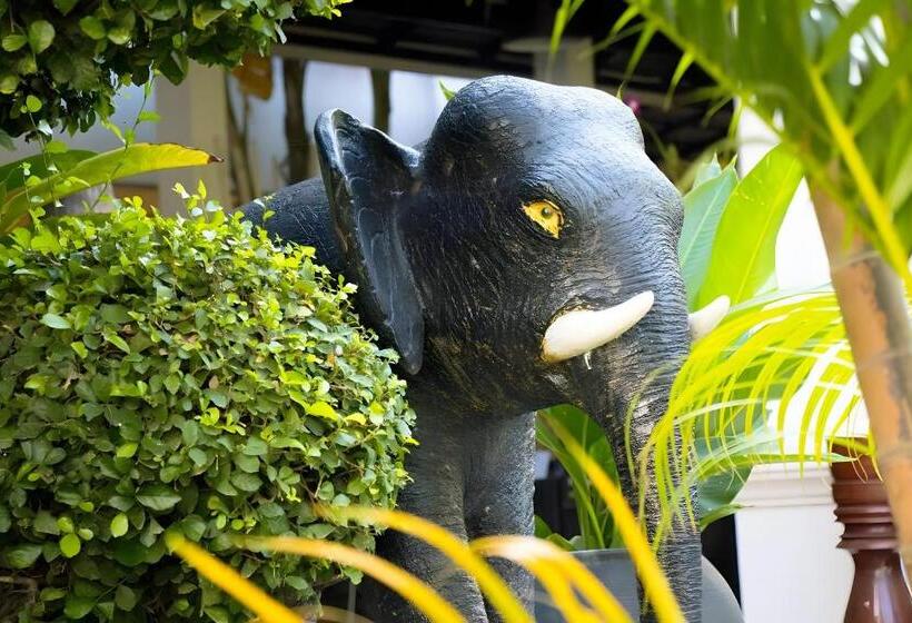 Отель Angkor Trails Residence