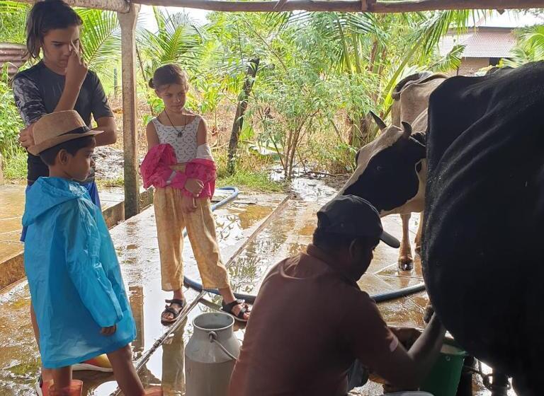 ホテル Monara Arana Farm Resort