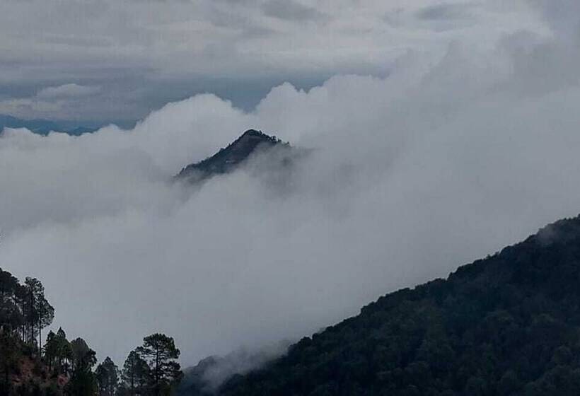 فندق The Himalayan Deodar