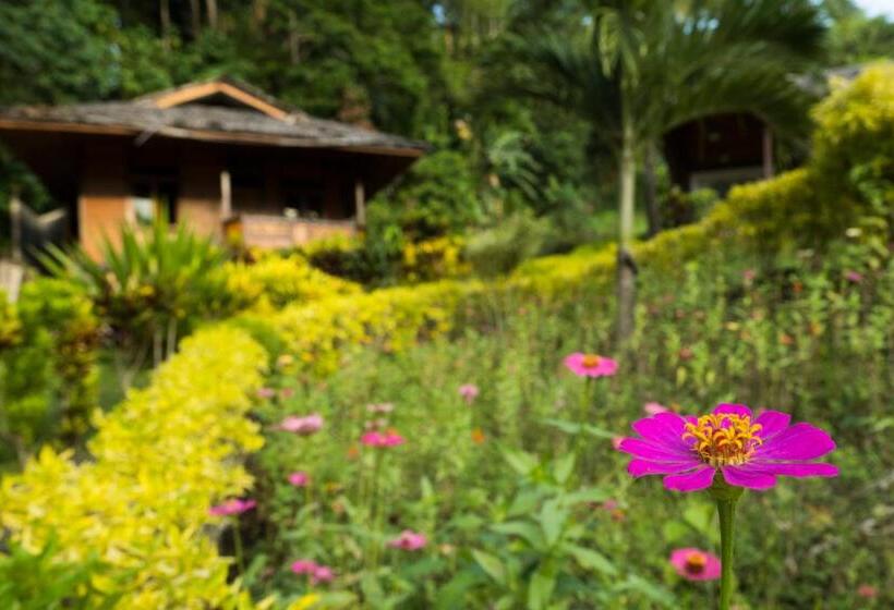 K2 Lembeh Dive Resort