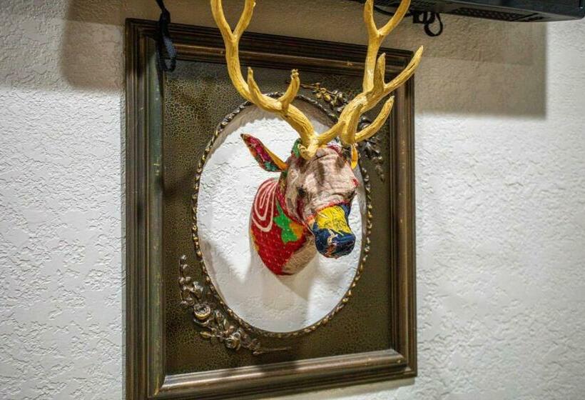 بنسيون Lonesome Dove Bandera Cabin