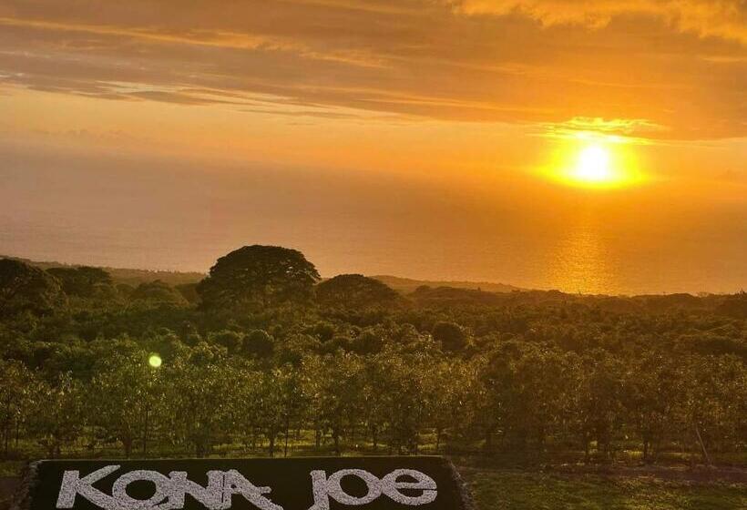بنسيون Nohokai At Kona Joe Coffee Farm
