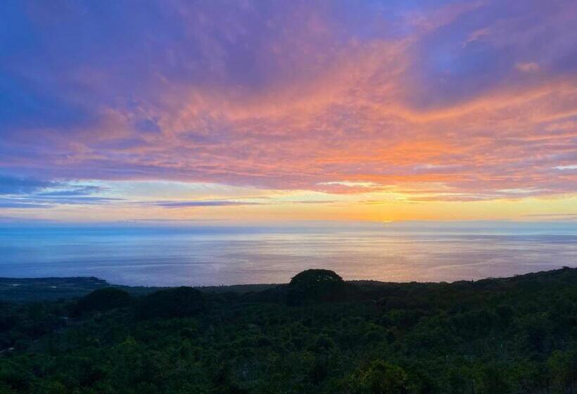 بنسيون Nohokai At Kona Joe Coffee Farm
