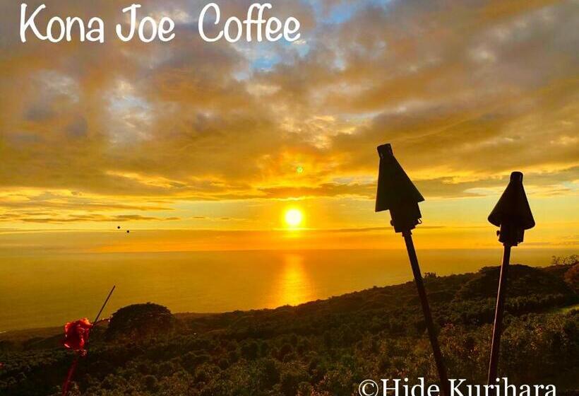 بنسيون Nohokai At Kona Joe Coffee Farm