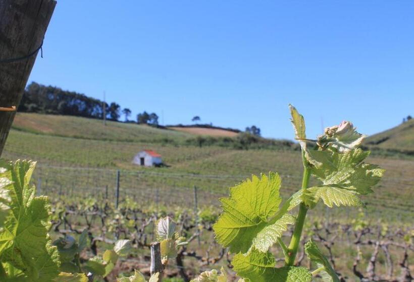 פנסיון Ocean Country Guest House Freiria