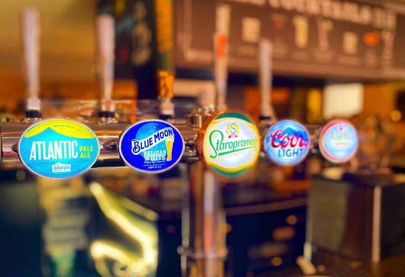 旅馆 Safestay London Elephant & Castle