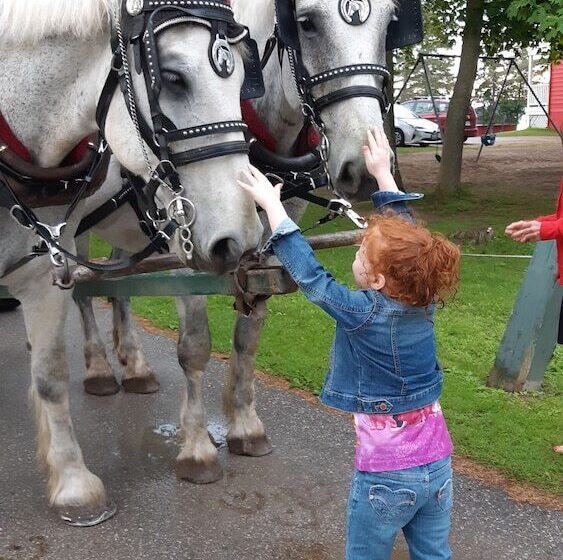 Bayview Wildwood Resort, Ascend Hotel Collection